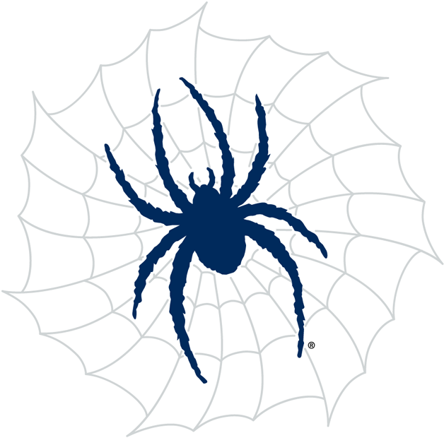 Richmond Spiders 2002-Pres Alternate Logo v4 diy fabric transfer